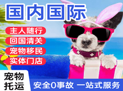 潍坊空运地址国际宠物托运 【国